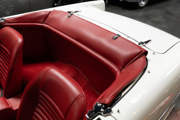 260522 Tiger Top Down 11