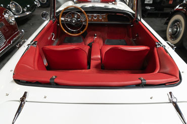 260522 Tiger Top Down 12