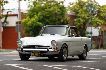 260522 Tiger Top Down 13