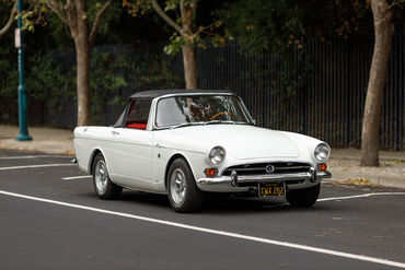 260522 Tiger Top Down 14