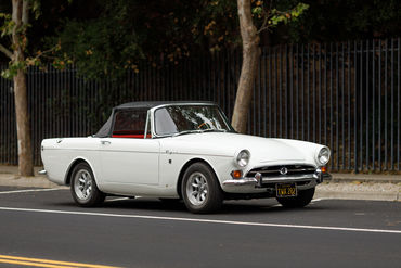 260522 Tiger Top Down 15