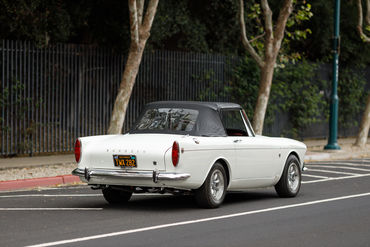 260522 Tiger Top Down 16