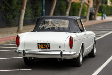 260522 Tiger Top Down 17