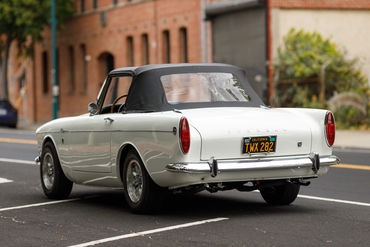 260522 Tiger Top Down 18
