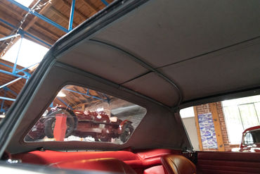 260522 Tiger Top Down 19